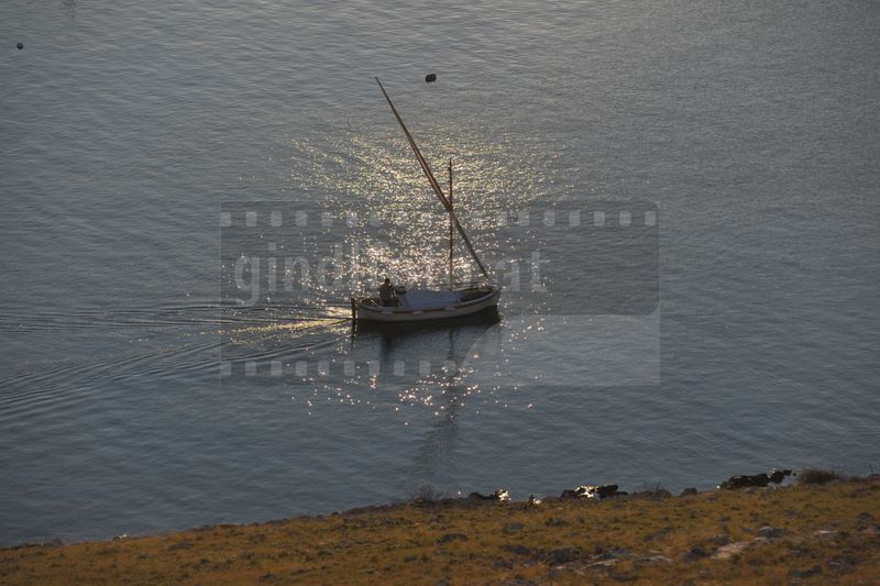 geo_5569.jpg